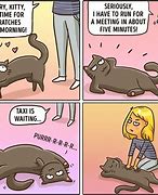 Image result for You Are the Best Cat Meme