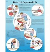 Image result for Basic Life Support System