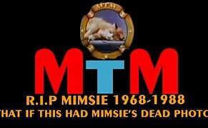 Image result for Mimsie The Cat Death
