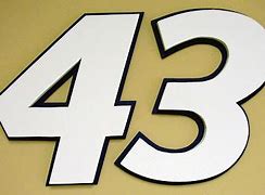 Image result for NASCAR 43 Logo