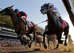 Image result for Black Horse Racing
