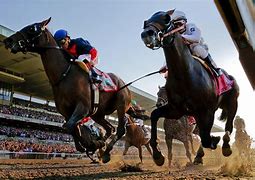 Image result for Form 2 Win Horse Racing