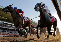 Image result for Race Horse Photos
