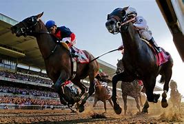 Image result for Horse Racing Riders