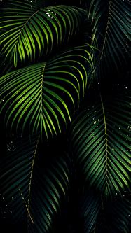 Image result for Midnight Green Wallpaper iPhone