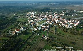 Image result for alfaredo