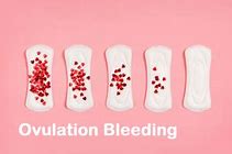 Image result for What Does Ovulation Bleeding Look Like