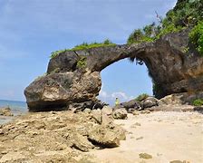 Image result for Tourist Attractions in Andaman and Nicobar