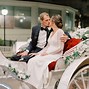 Image result for Disney Princess Cinderella Horse and Carriage