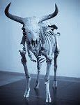 Image result for Ancient Cattle Aurochs