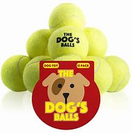 Image result for This Is a Ball This Is a Dog