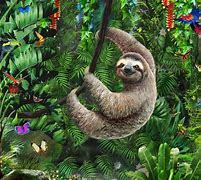 Image result for Sloth Background Wallpaper Design