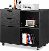 Image result for Printer Cabinets with Doors