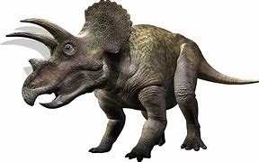 Image result for Biggest Extinct Animal in the World