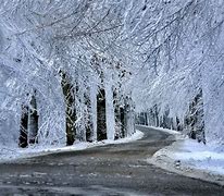 Image result for sneeuw