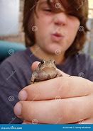 Image result for Toddler Boy with a Toad