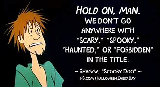Image result for Scooby Doo Shaggy Rogers Quotes