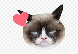 Image result for Cool Cat Emoji