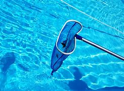 Image result for Swimming Pool Cleaning
