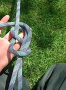 Image result for Figure 8 Knot with Red Rope Loop with Insi Carabiner