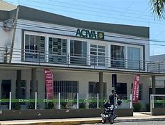 Image result for aciavo