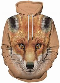 Image result for Fox Hoodie