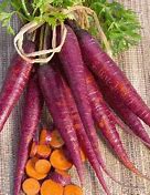Image result for Medium Size Carrot