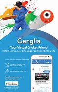 Image result for Cricket Friend