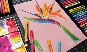 Image result for Recollection Watercolor Crayons