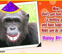 Image result for Funny Quotes for Birthday