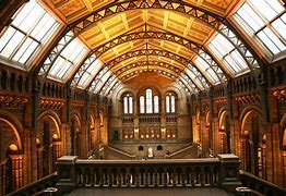 Image result for London Museums and Galleries