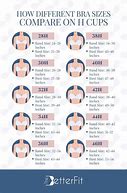 Image result for Bust Size Chart
