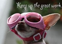 Image result for Awesome Weekend Meme Dog