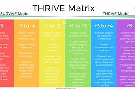 Image result for Survive Thrive