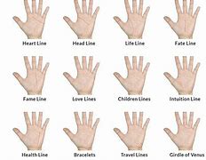 Image result for Fit My Hand