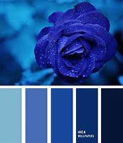 Image result for iPhone 5S Colors Palette