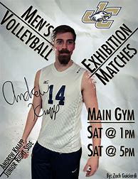Image result for Men's Volleyball Posters