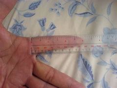 Image result for 6 Inches Compared to a Human