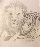 Image result for Lion Tiger Drawing