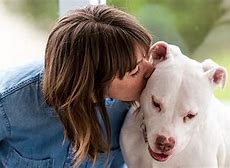 Image result for Kindness to Animals