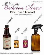 Image result for Non-Toxic Bathroom Cleaner