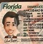Image result for Fake Florida ID