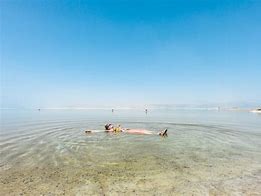 Image result for Dead Sea Swim