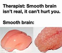 Image result for My Brain Smooth Meme