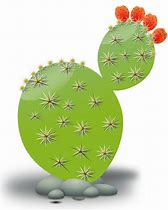 Image result for Small Cartoon Cactus
