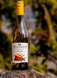 Image result for Goosecross Pinot Gris