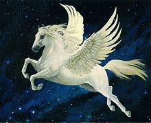 Image result for Colorful Pegasus