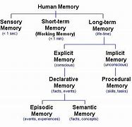 Image result for Primary and Secondary Memory