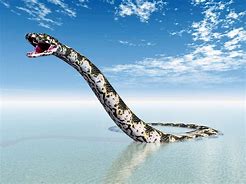 Image result for Largest Extinct Snake