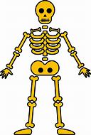 Image result for Cartoon Skeleton Transparent PNG